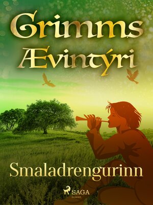 cover image of Smaladrengurinn
